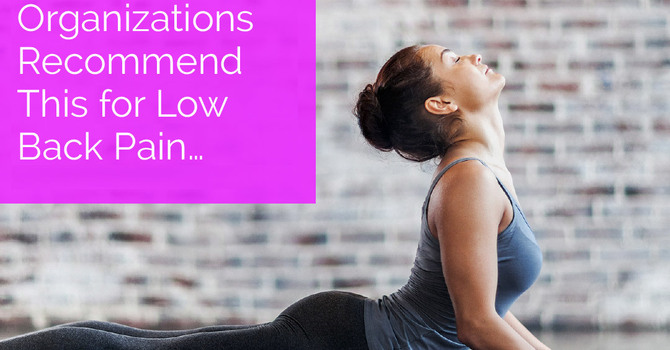 Top Healthcare Organizations Recommend This for Low Back Pain… image
